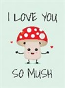 Summersdale Publishers, Summersdale Publishers - I Love You So Mush