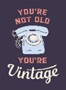 Summersdale Publishers - You're Not Old, You're Vintage