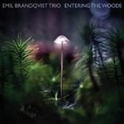 Emil Brandqvist Trio - Entering The Woods, 1 Audio-CD (Audiolibro)