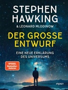 Stephen Hawking, Leonard Mlodinow, Hainer Kober - Der große Entwurf