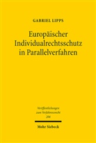 Gabriel Lipps - Europäischer Individualrechtsschutz in Parallelverfahren