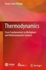 Paulo Cesar Philippi - Thermodynamics