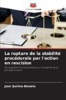 José Quirino Bisneto - La rupture de la stabilité procédurale par l'action en rescision