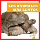 Lily Austen - Los Animales Más Lentos (Slowest Animals)
