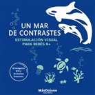 Océano, + Océano - Un mar de contrastes
