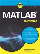 John Paul Mueller, Jim Sizemore - Matlab für Dummies