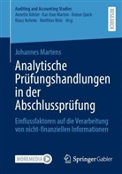 Johannes Martens - Analytische Pr&uuml;fungshandlungen in der Abschlusspr&uuml;fung