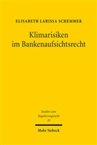 Elisabeth Larissa Schemmer - Klimarisiken im Bankenaufsichtsrecht