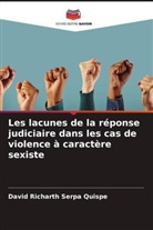 David Richarth Serpa Quispe - Les lacunes de la réponse judiciaire dans les cas de violence à caractère sexiste