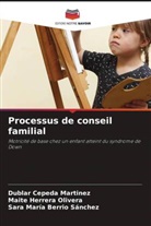 Sara María Berrio Sánchez, Dublar Cepeda Martinez, Maite Herrera Olivera - Processus de conseil familial
