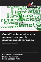 Lúcio Cardozo Filho, Leandro Ferreira Pinto, Daniel Mantovani - Gassificazione ad acqua supercritica per la produzione di idrogeno