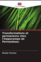 Rosely Tavares - Transformations et permanence chez l'hippocampe de Pernambouc