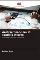Fabian Anya - Analyse financière et contrôle interne
