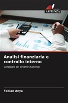 Fabian Anya - Analisi finanziaria e controllo interno