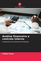 Fabian Anya - Análise financeira e controlo interno