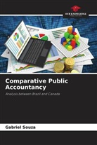 Gabriel Souza - Comparative Public Accountancy