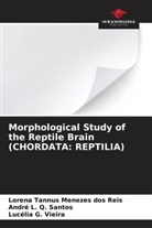 Lucélia G. Vieira, André L. Q. Santos, Lorena Tannus Menezes Dos Reis - Morphological Study of the Reptile Brain (CHORDATA: REPTILIA)