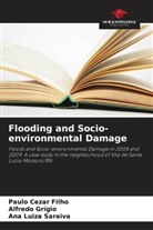 Paulo Cezar Filho, Alfredo Grígio, Ana Luiza Saraiva - Flooding and Socio-environmental Damage