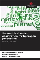 Lúcio Cardozo Filho, Leandro Ferreira Pinto, Daniel Mantovani - Supercritical water gasification for hydrogen production