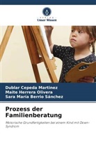 Ber, Sara María Berrio Sánchez, Dublar Cepeda Martinez, Maite Herrera Olivera - Prozess der Familienberatung