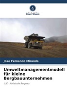 José Fernando Miranda - Umweltmanagementmodell für kleine Bergbauunternehmen