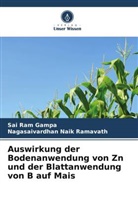 Sai Ram Gampa, Nagasaivardhan Naik Ramavath - Auswirkung der Bodenanwendung von Zn und der Blattanwendung von B auf Mais