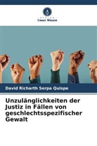 David Richarth Serpa Quispe - Unzulänglichkeiten der Justiz in Fällen von geschlechtsspezifischer Gewalt