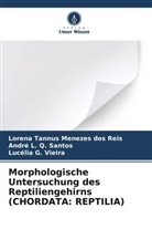 Lucélia G. Vieira, André L Q Santos, André L. Q. Santos, Lorena Tannus Menezes Dos Reis - Morphologische Untersuchung des Reptiliengehirns (CHORDATA: REPTILIA)