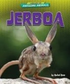 Rachel Rose - Jerboa