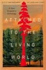 Ann Fisher-Wirth, Laura-Gray Street - Attached to the Living World