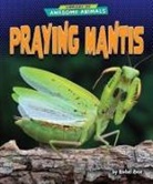 Rachel Rose - Praying Mantis