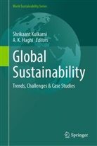 A. K. Haghi, K Haghi, Shrikaant Kulkarni - Global Sustainability