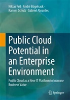 Gabriel Abrantes, André Bögelsack, Niklas Feil, Ramón Schulz, Ramón et al Schulz - Public Cloud Potential in an Enterprise Environment