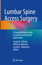 Joseph C. Babrowicz, Joseph R. O'Brien, Jeffrey B. Weinreb - Lumbar Spine Access Surgery