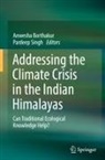 Anwesha Borthakur, Pardeep Singh - Addressing the Climate Crisis in the Indian Himalayas