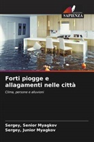 Sergey Myagkov - Forti piogge e allagamenti nelle città