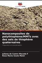 Juliana de Castro Macedo F, Rosa Maria Souto Maior - Nanocomposites de polythiophène/MMTs avec des sels de thiophène quaternaires