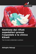 Adingite Ndungi - Gestione dei rifiuti ospedalieri presso l'ospedale e la clinica Kikwit