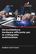 Gaddam Sunil Kumar - Un'architettura hardware efficiente per la crittografia multimediale