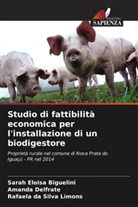 Sarah Eloisa Biguelini, Amanda Delfrate, Rafaela Da Silva Limons - Studio di fattibilità economica per l'installazione di un biodigestore