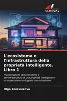 Olga Kolesnikova - L'ecosistema e l'infrastruttura della proprietà intelligente. Libro 1