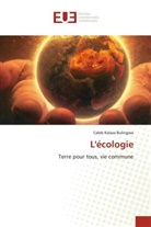 Caleb Kalasa Bulingwa - L'écologie