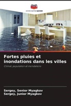 Sergey Myagkov - Fortes pluies et inondations dans les villes