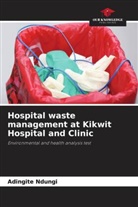 Adingite Ndungi - Hospital waste management at Kikwit Hospital and Clinic