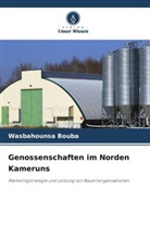 Wasbahounsa Bouba - Genossenschaften im Norden Kameruns