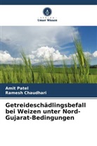 Ramesh Chaudhari, Amit Patel - Getreideschädlingsbefall bei Weizen unter Nord-Gujarat-Bedingungen
