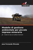 José Fernando Miranda - Modello di gestione ambientale per piccole imprese minerarie