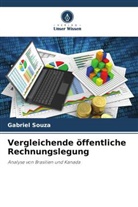 Gabriel Souza - Vergleichende öffentliche Rechnungslegung