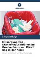 Adingite Ndungi - Entsorgung von Krankenhausabfällen im Krankenhaus von Kikwit und in der Klinik