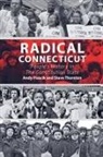 Andy Piascik, Steve Thornton - Radical Connecticut People's History In The Constitution State